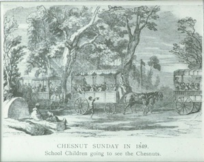 Chestnut Sunday started in 1837